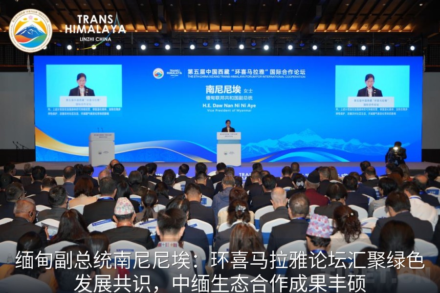 缅甸副总统南尼尼埃：环喜马拉雅论坛汇聚绿色发展共识，中缅生态合作成果丰硕