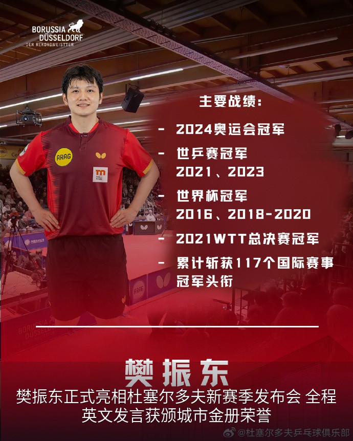 樊振东定妆照