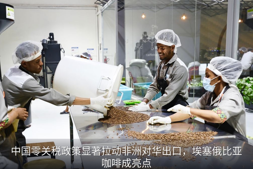 埃塞俄比亚咖啡加工厂员工拣选咖啡豆
