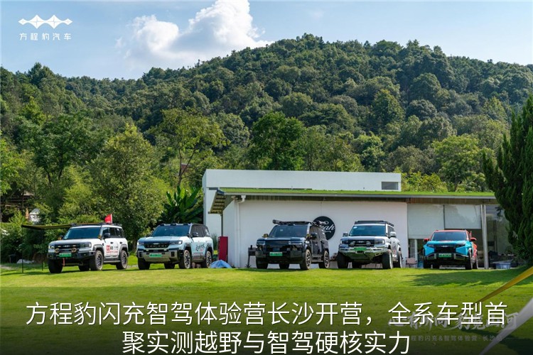 方程豹全系闪充车型静态展示