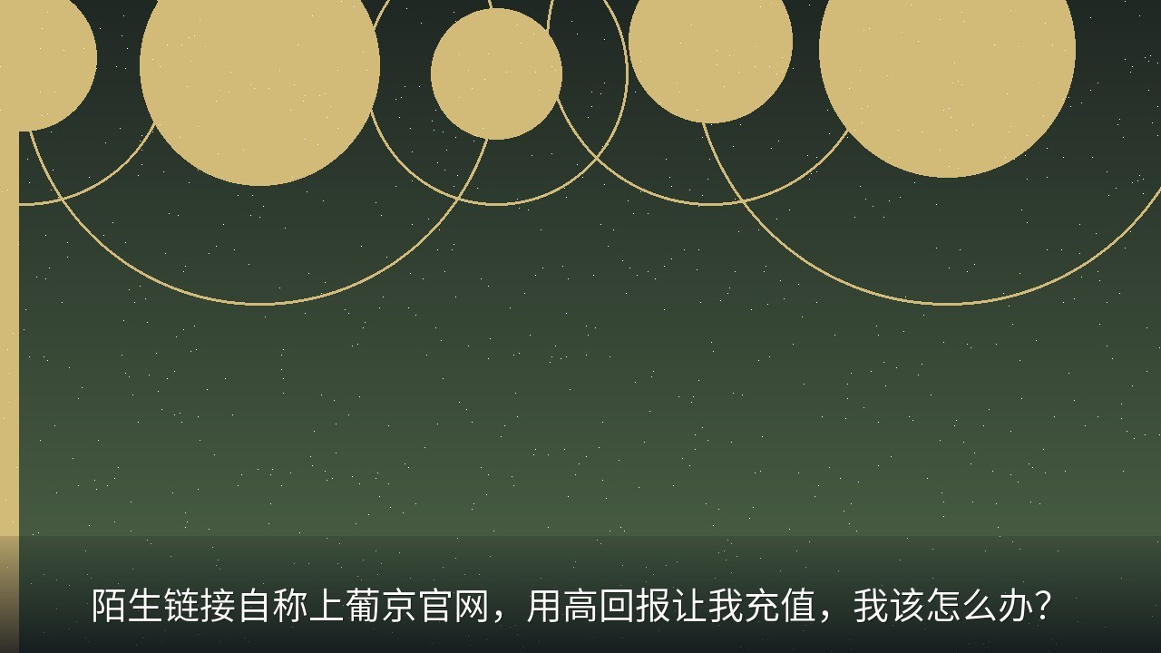 陌生链接自称上葡京官网，用高回报让我充值，我该怎么办？